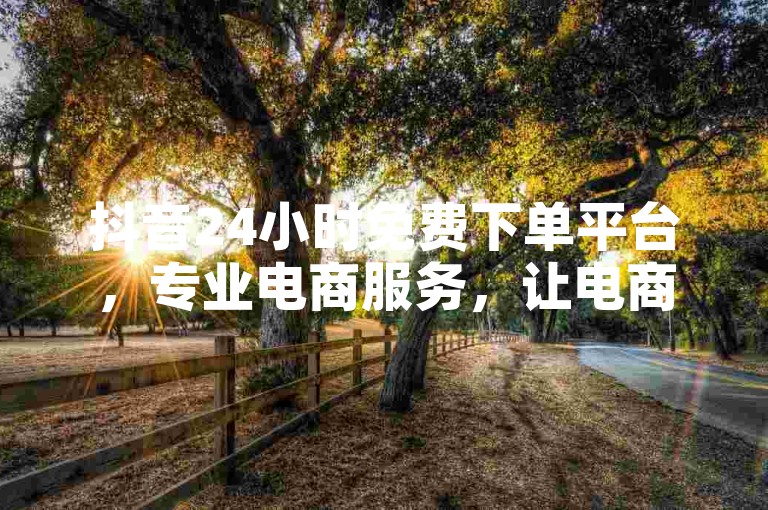 抖音24小时免费下单平台，专业电商服务，让电商更上一层楼！