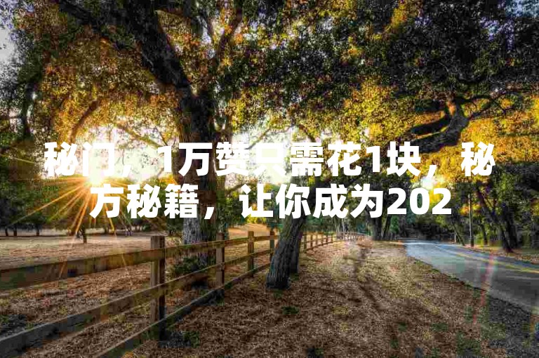 秘门，1万赞只需花1块，秘方秘籍，让你成为2025年的第一人！