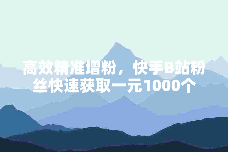 高效精准增粉，快手B站粉丝快速获取一元1000个