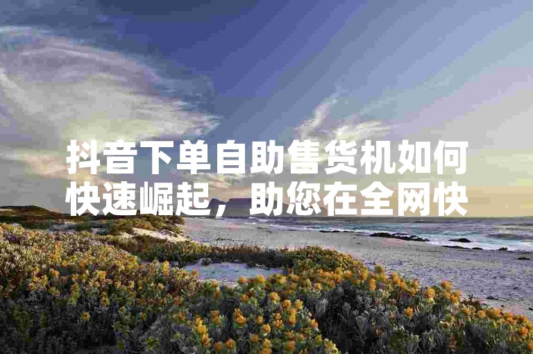抖音下单自助售货机如何快速崛起，助您在全网快速崛起
