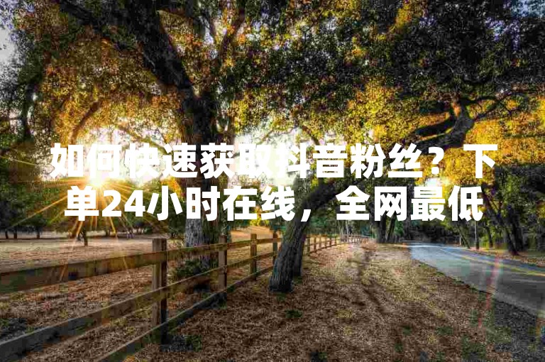 如何快速获取抖音粉丝？下单24小时在线，全网最低价格，如何快速成为粉丝？