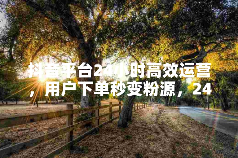抖音平台24小时高效运营，用户下单秒变粉源，24小时自助下单商城