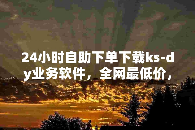 24小时自助下单下载ks-dy业务软件，全网最低价，轻松上手