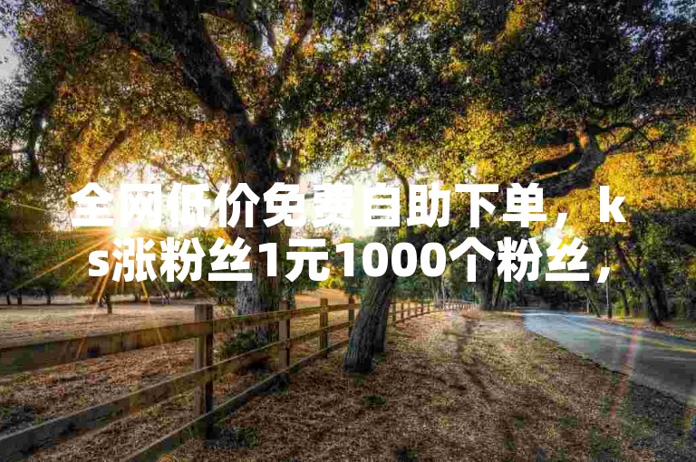 全网低价免费自助下单，ks涨粉丝1元1000个粉丝，抖音账号买卖网，快速获取粉丝，轻松赚钱。