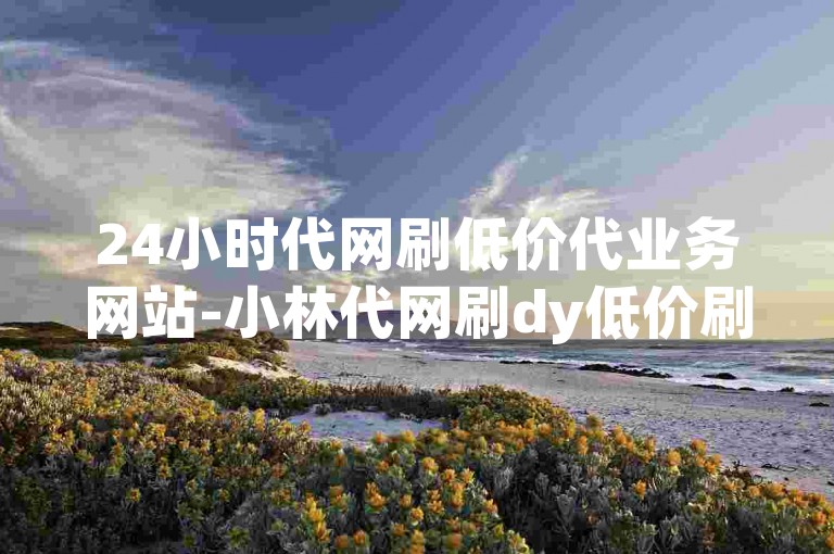 24小时代网刷低价代业务网站-小林代网刷dy低价刷业务网站-