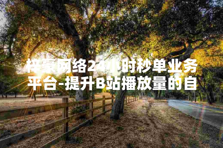 梓豪网络24小时秒单业务平台-提升B站播放量的自助平台