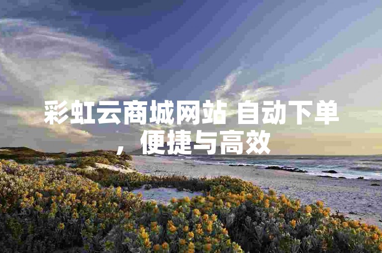 彩虹云商城网站 自动下单，便捷与高效