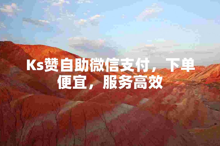 Ks赞自助微信支付，下单便宜，服务高效