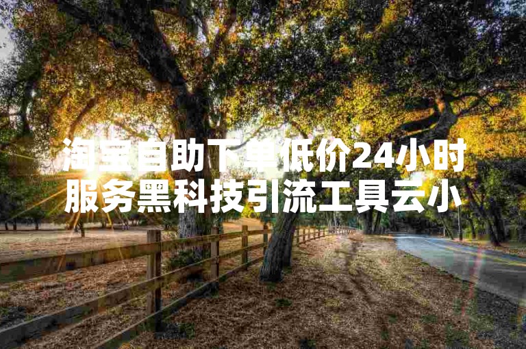 淘宝自助下单低价24小时服务黑科技引流工具云小店