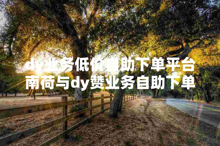 dy业务低价自助下单平台南荷与dy赞业务自助下单平台