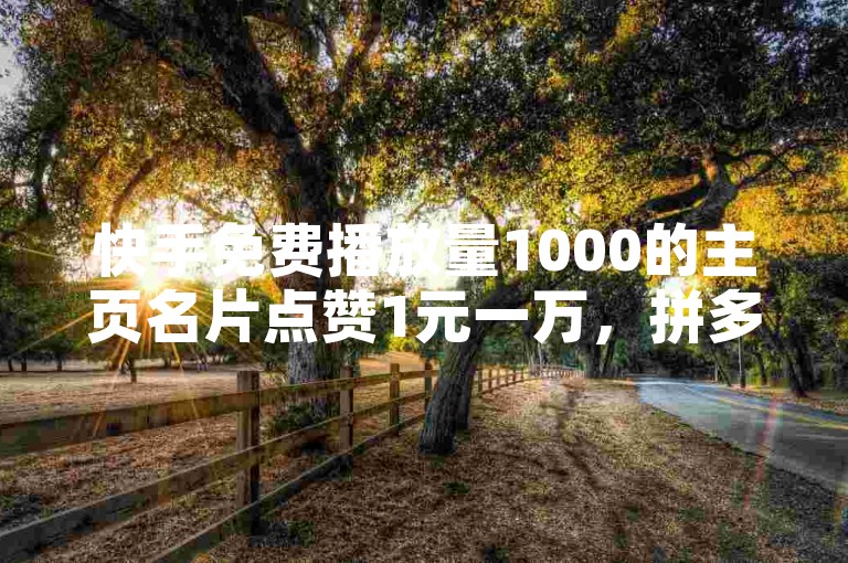 快手免费播放量1000的主页名片点赞1元一万，拼多多帮助力，全网下单最便宜！
