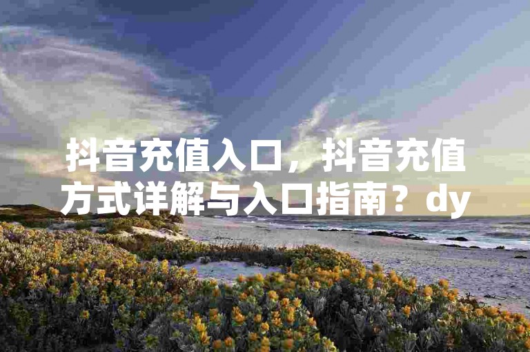 抖音充值入口，抖音充值方式详解与入口指南？dy点赞秒到账便宜