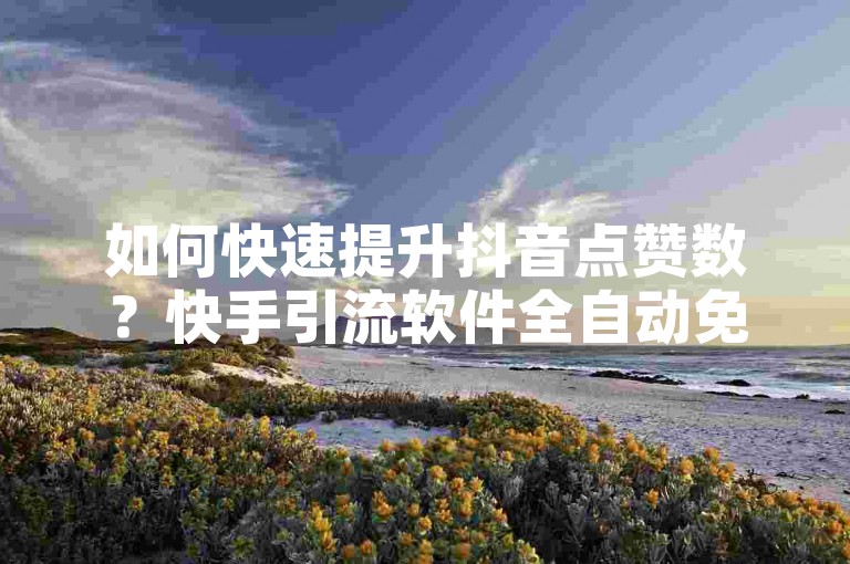 如何快速提升抖音点赞数？快手引流软件全自动免费，揭秘评论网址是什么！