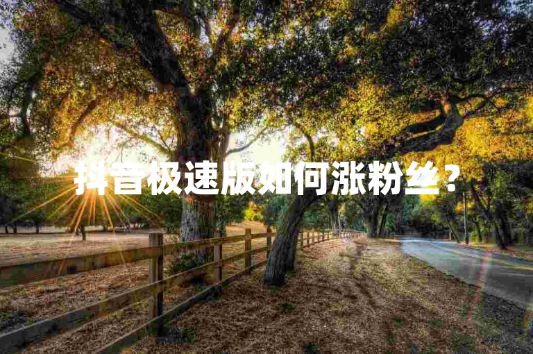 抖音极速版如何涨粉丝？