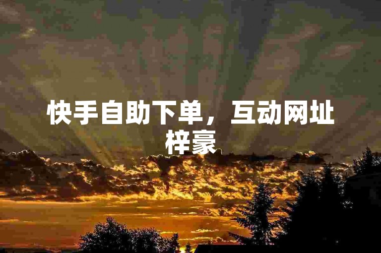 快手自助下单，互动网址梓豪