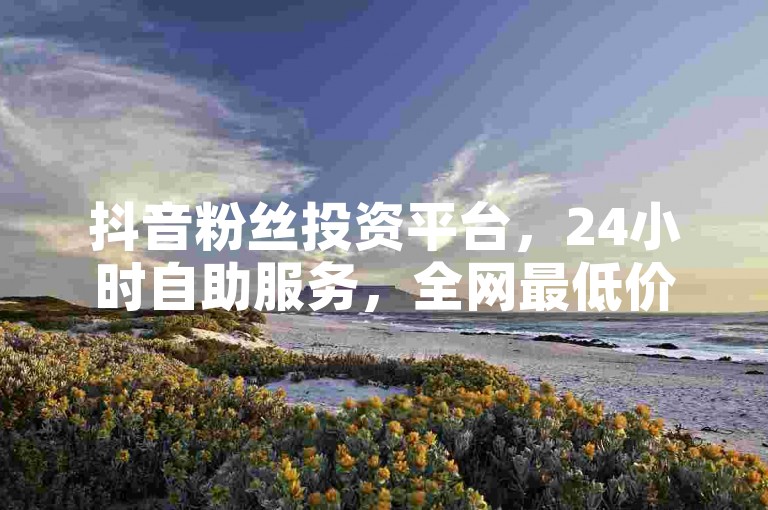 抖音粉丝投资平台，24小时自助服务，全网最低价，投资回报解析