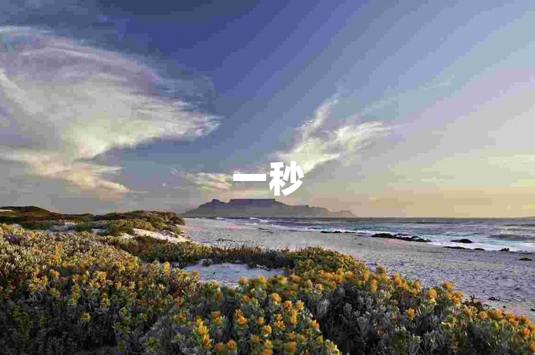 一秒5000赞-24小时全自助下单平台下载