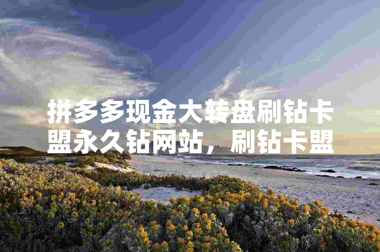 拼多多现金大转盘刷钻卡盟永久钻网站，刷钻卡盟真的吗？✨