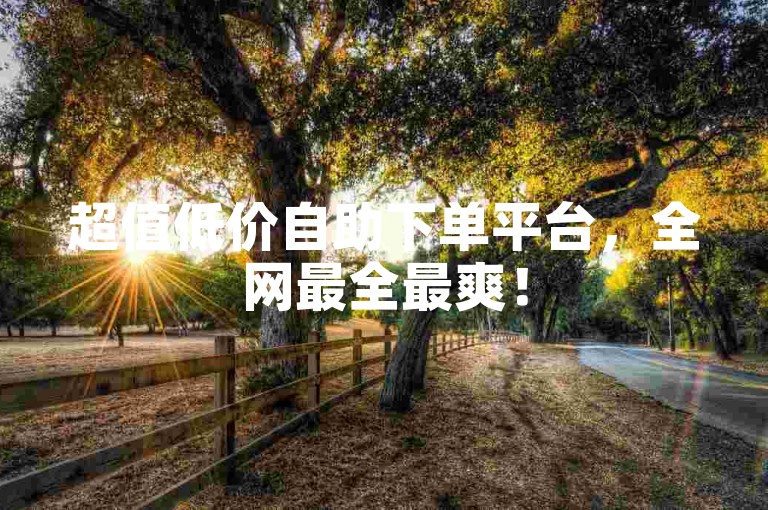 超值低价自助下单平台，全网最全最爽！