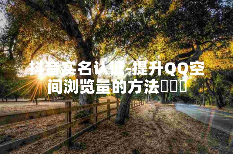 抖音实名认证-提升QQ空间浏览量的方法✨✨✨