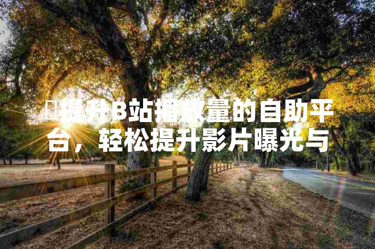 ✨提升B站播放量的自助平台，轻松提升影片曝光与流量！2025必学✨