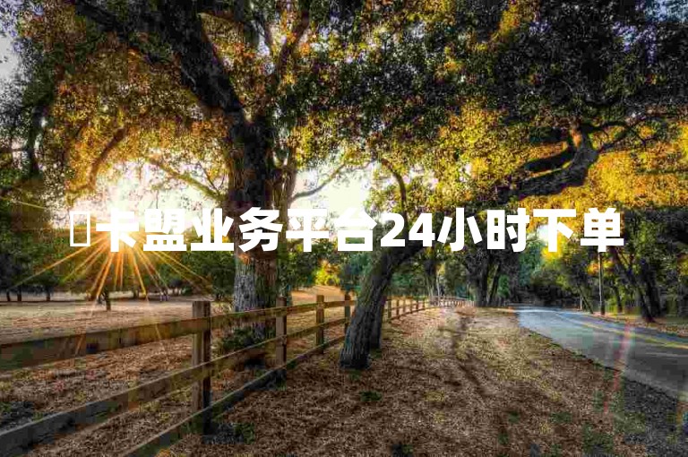✨卡盟业务平台24小时下单