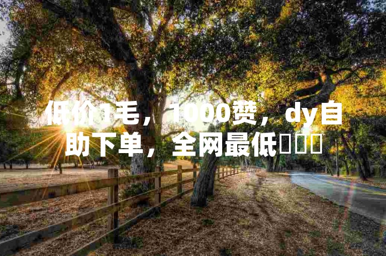 低价1毛，1000赞，dy自助下单，全网最低✨✨✨