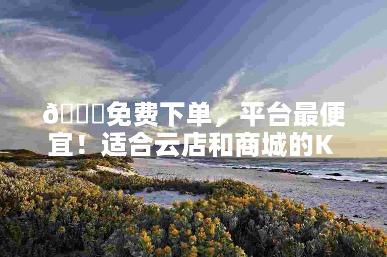 🚀免费下单，平台最便宜！适合云店和商城的K S业务！✨