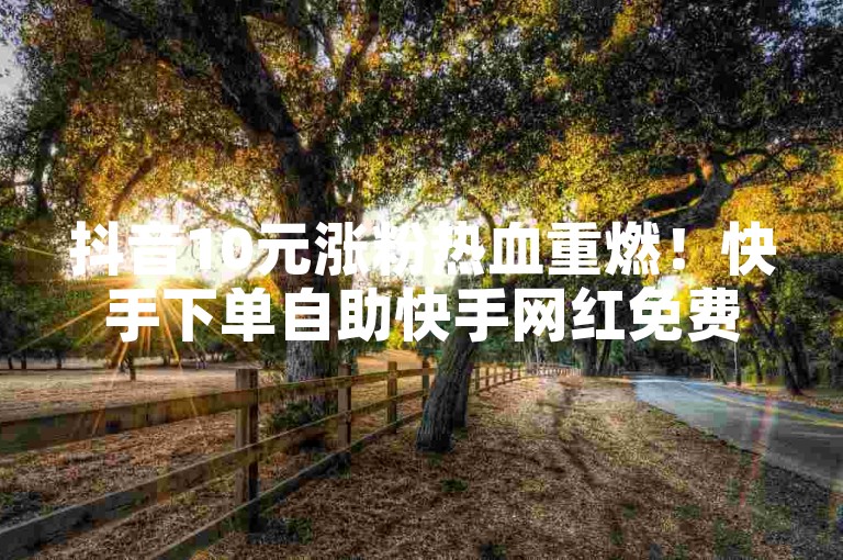抖音10元涨粉热血重燃！快手下单自助快手网红免费网站🔥✨