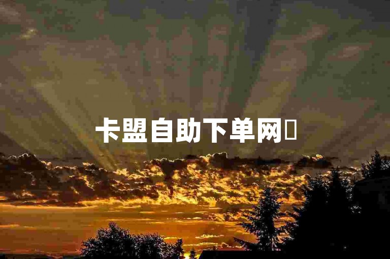 卡盟自助下单网✨