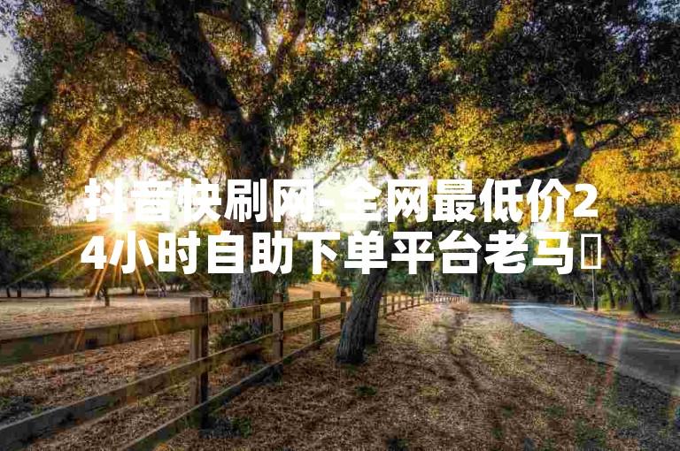 抖音快刷网-全网最低价24小时自助下单平台老马✨✨