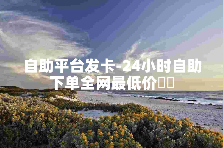 自助平台发卡-24小时自助下单全网最低价✨✨