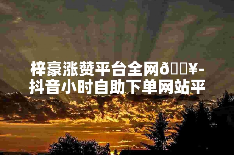 梓豪涨赞平台全网🔥-抖音小时自助下单网站平台✨-