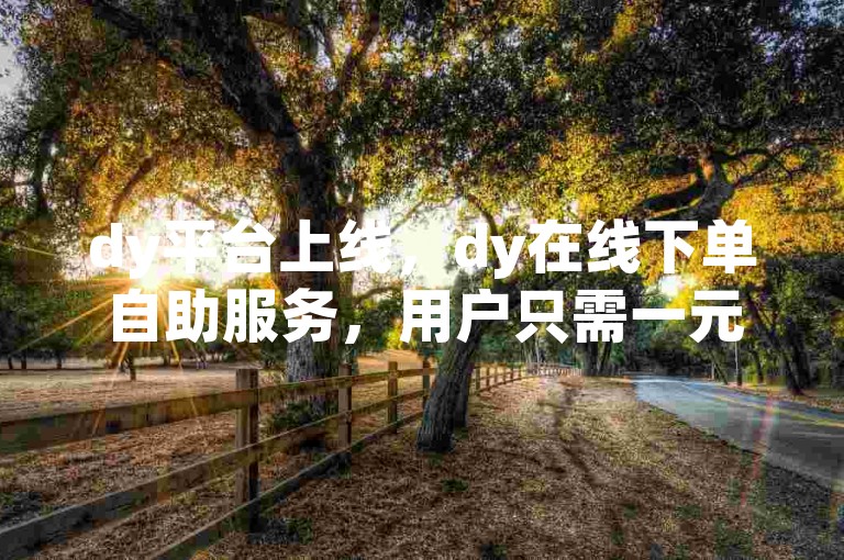 dy平台上线，dy在线下单自助服务，用户只需一元就能赚到500个赞，快来体验吧！✨✨✨