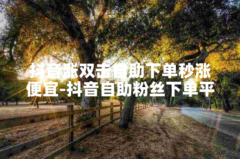 抖音涨双击自助下单秒涨便宜-抖音自助粉丝下单平台-✨