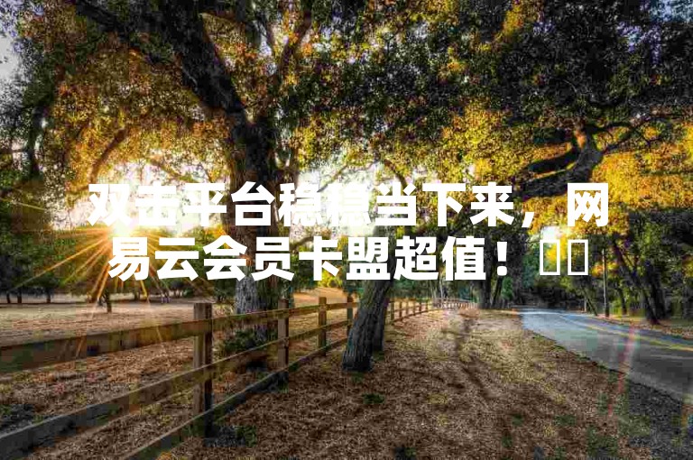双击平台稳稳当下来，网易云会员卡盟超值！✨✨