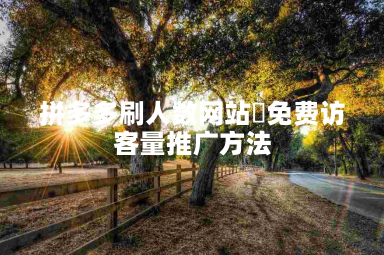 拼多多刷人数网站✨免费访客量推广方法