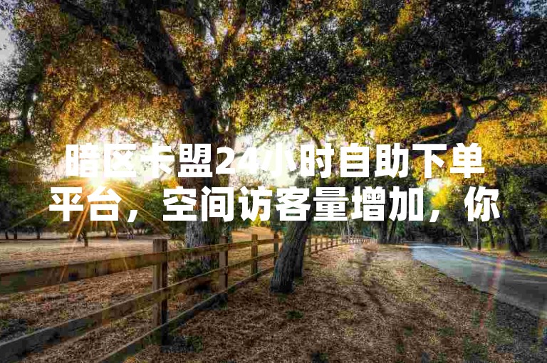 暗区卡盟24小时自助下单平台，空间访客量增加，你还在等什么？✨