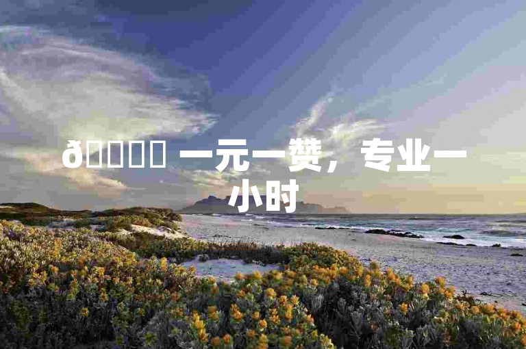 🚀✨ 一元一赞，专业一小时