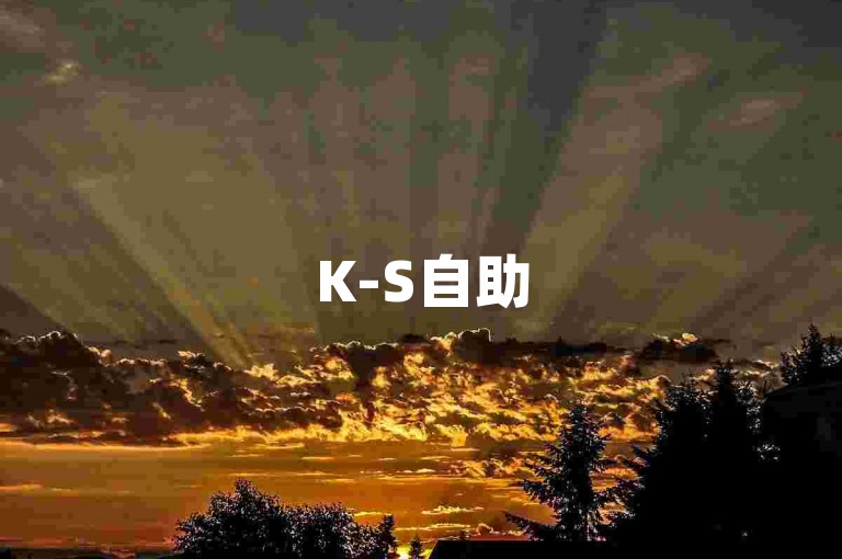 K-S自助