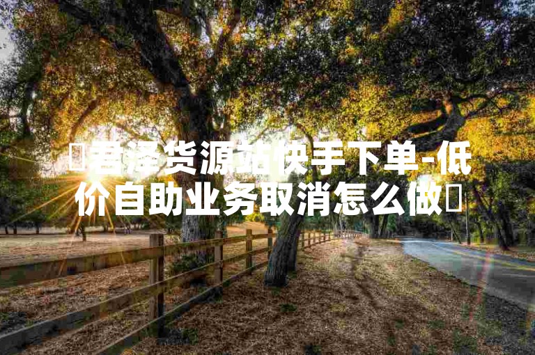 ✨君泽货源站快手下单-低价自助业务取消怎么做✨