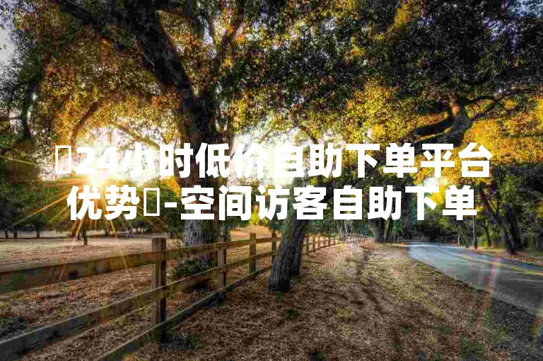 ✨24小时低价自助下单平台优势✨-空间访客自助下单免费