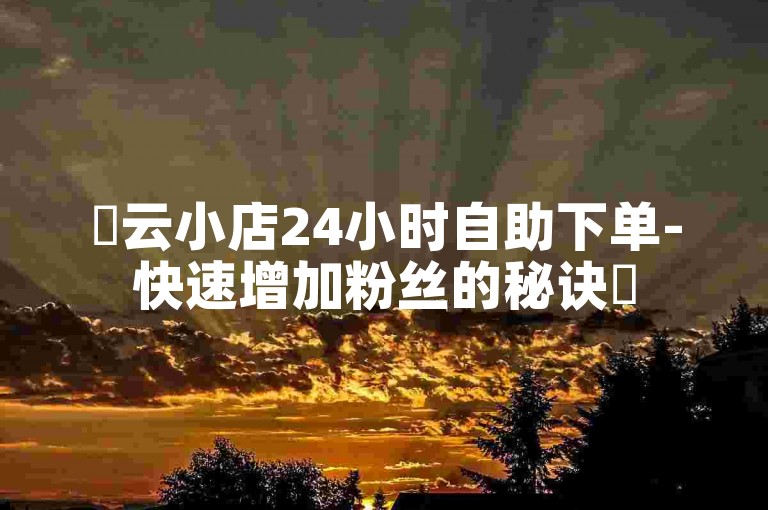 ✨云小店24小时自助下单-快速增加粉丝的秘诀✨