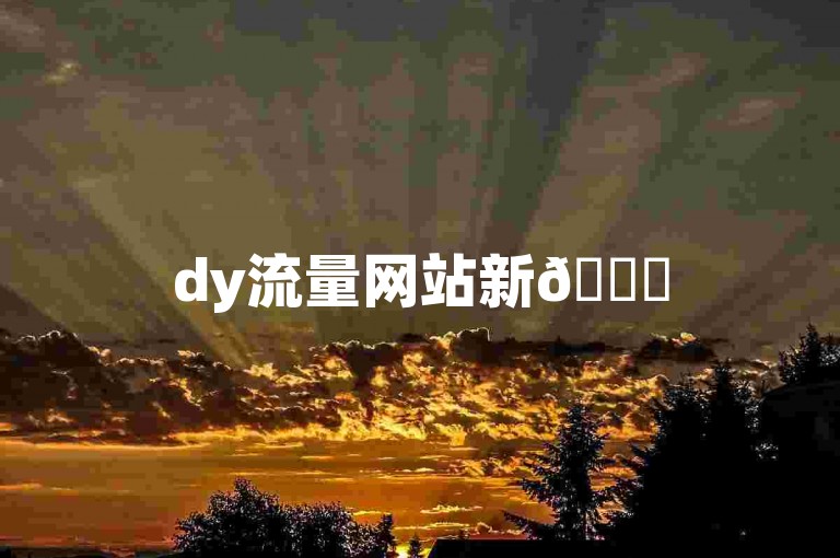 dy流量网站新🚀