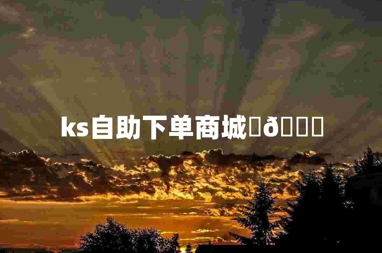 ks自助下单商城✨🌟