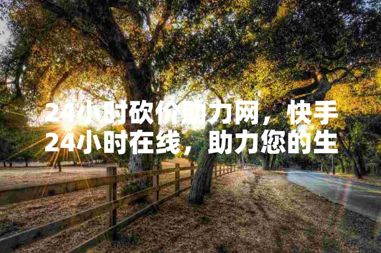 24小时砍价助力网，快手24小时在线，助力您的生活🔥