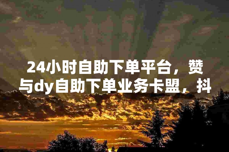 24小时自助下单平台，赞与dy自助下单业务卡盟，抖音赞！🚀✨🌟✨