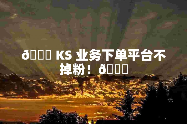 🚀 KS 业务下单平台不掉粉！🌟