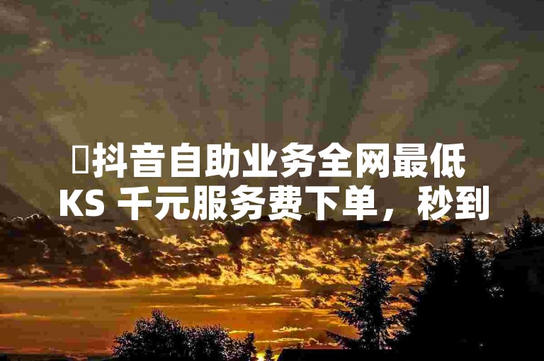 ✨抖音自助业务全网最低 KS 千元服务费下单，秒到账！✨