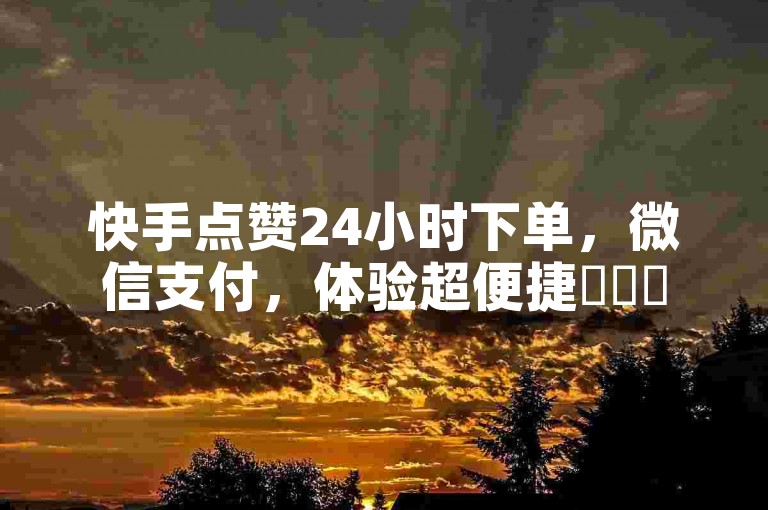 快手点赞24小时下单，微信支付，体验超便捷✨✨✨